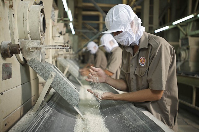 Le riz vietnamien accumule les commandes